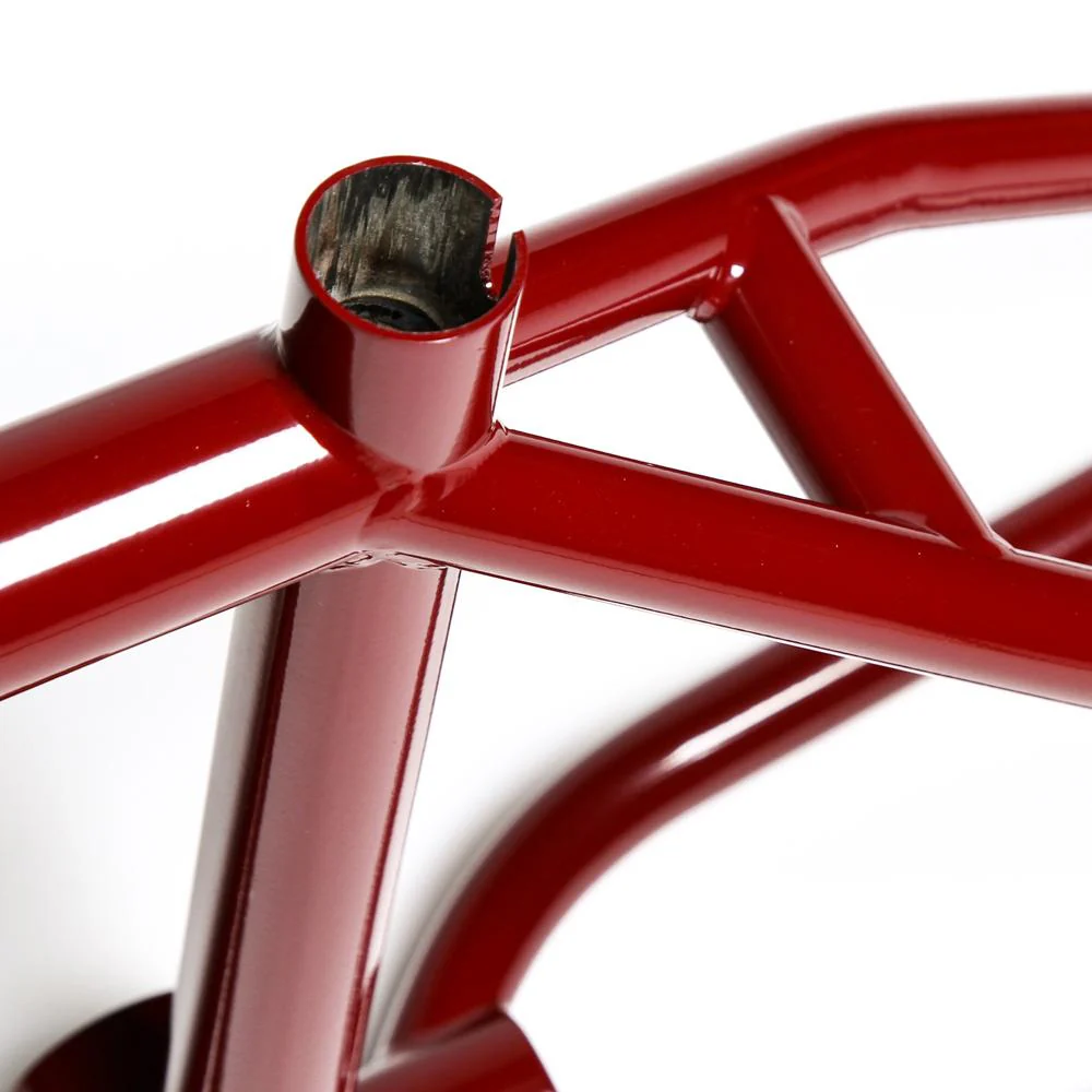 Animal Red Eye Frame - Image 7