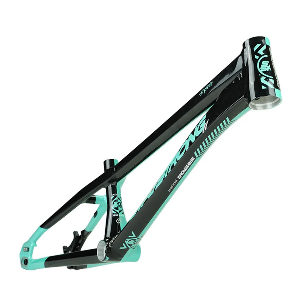 Stay Strong For Life V5.1 Pro Cruiser Frame - Image 13