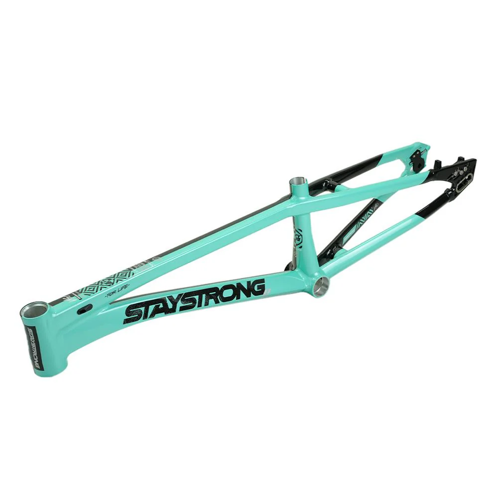 Stay Strong For Life V5.1 Pro Cruiser Frame - Image 15