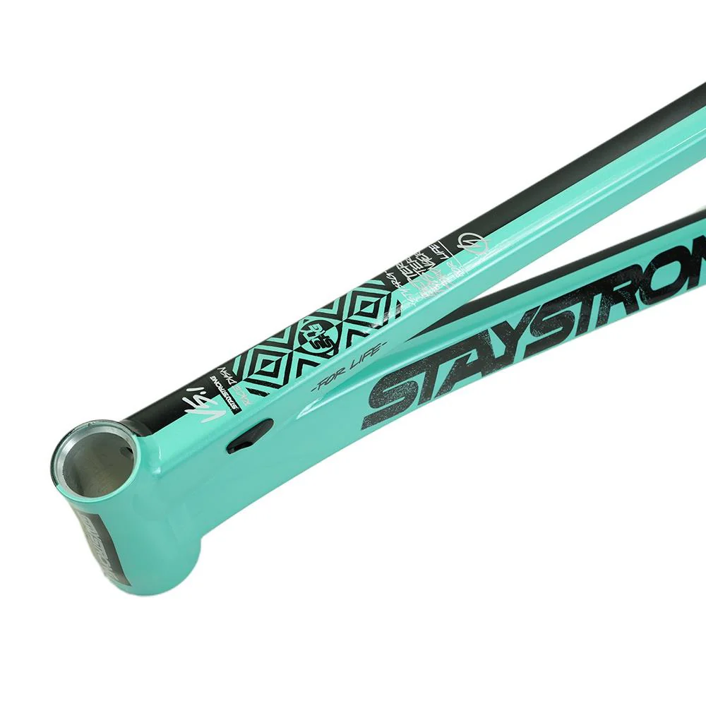 Stay Strong For Life V5.1 Pro Cruiser Frame - Image 18