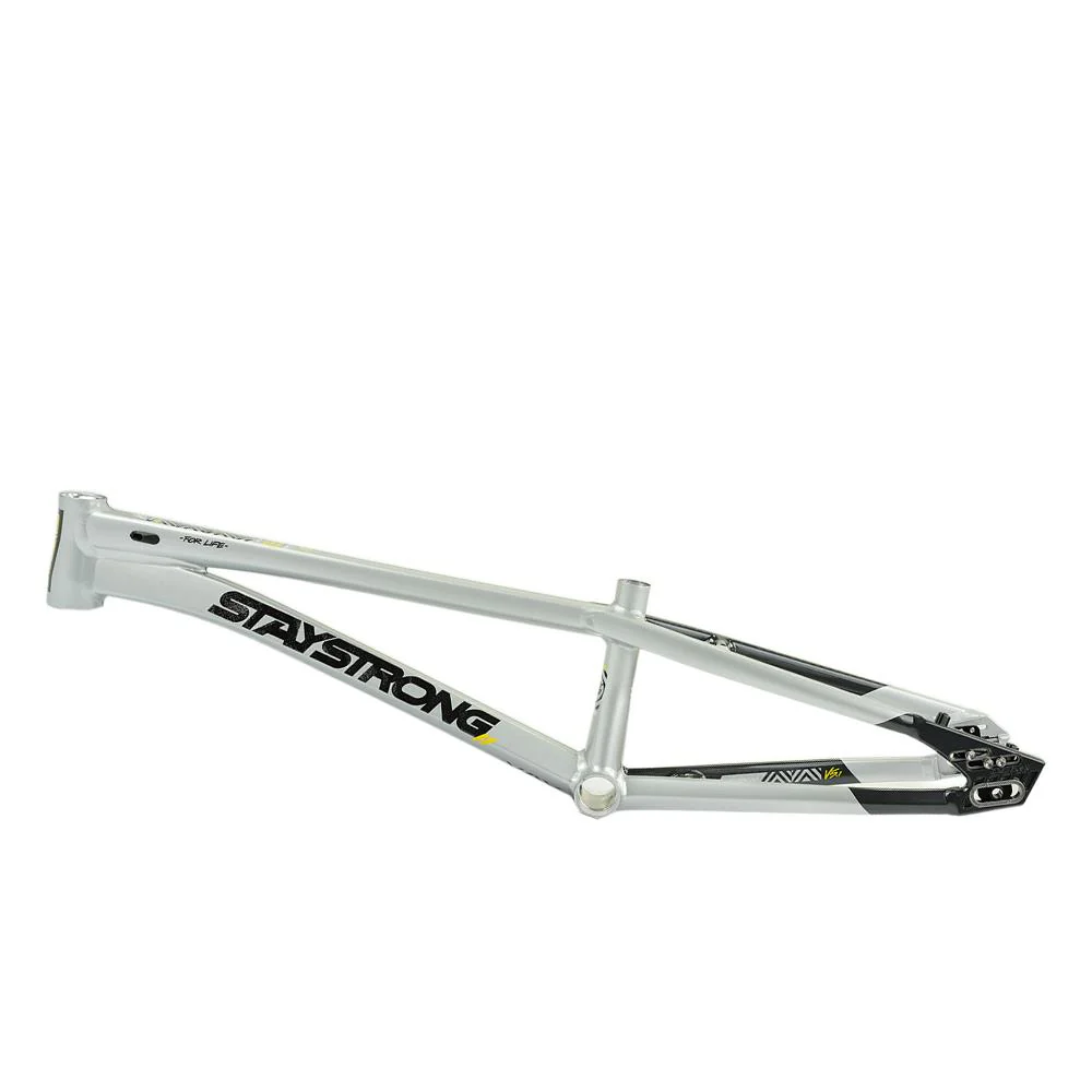 Stay Strong For Life V5.1 Pro Cruiser Frame - Image 20