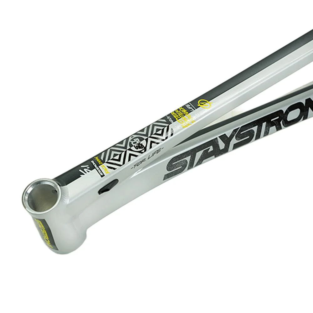 Stay Strong For Life V5.1 Pro Cruiser Frame - Image 25
