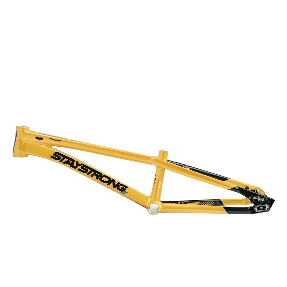 Stay Strong For Life V5.1 Pro Cruiser Frame - Image 27