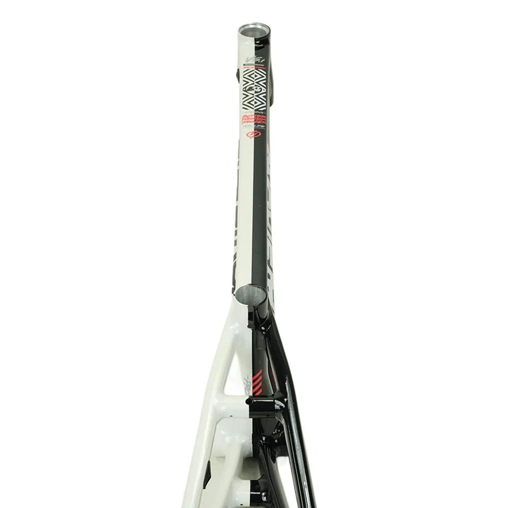 Stay Strong For Life V5.1 Pro Cruiser Frame - Image 7