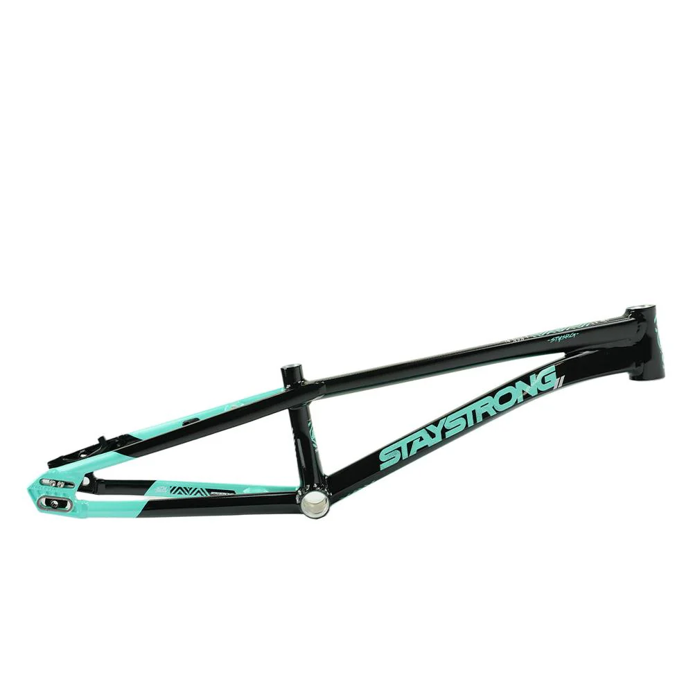 Stay Strong For Life V5.1 Pro XXL Cruiser Frame - Image 17