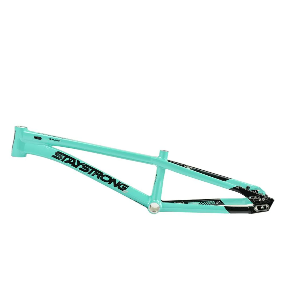 Stay Strong For Life V5.1 Pro XXL Cruiser Frame - Image 18