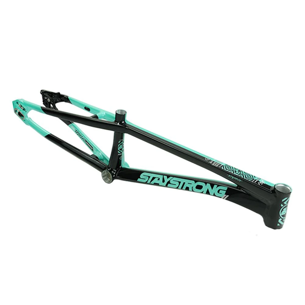 Stay Strong For Life V5.1 Pro XXL Cruiser Frame - Image 21
