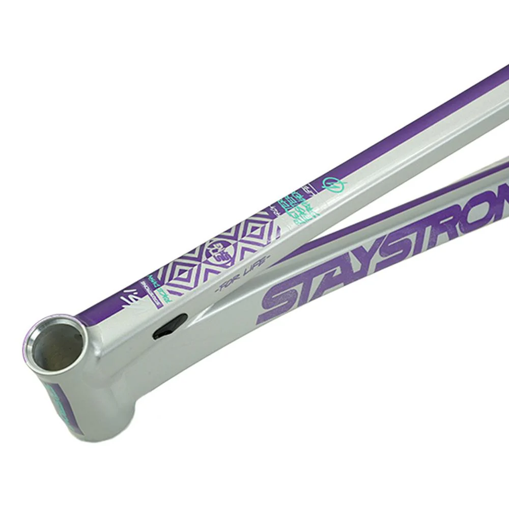Stay Strong For Life V5.1 Pro XXL Cruiser Frame - Image 34