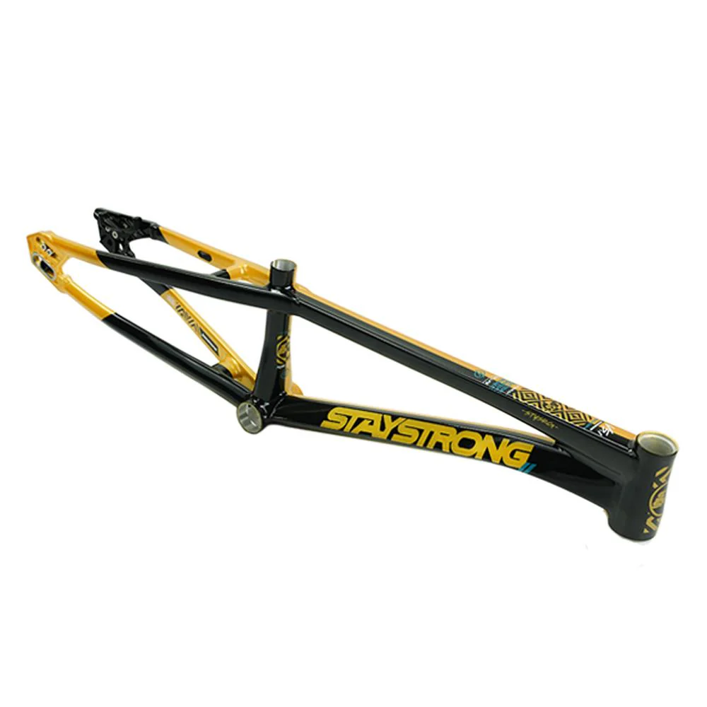 Stay Strong For Life V5.1 Pro XXL Frame - Image 32