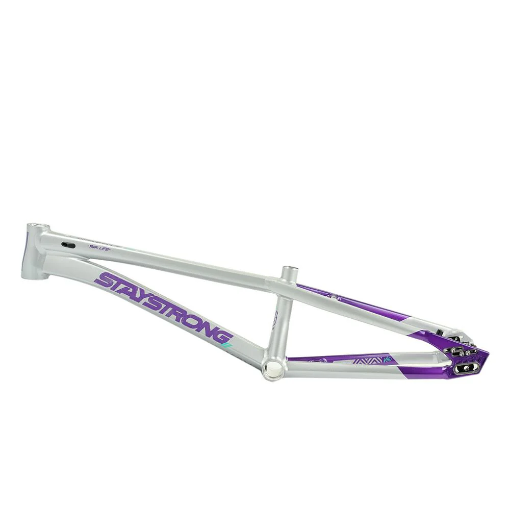 Stay Strong For Life V5.1 Pro XXXXL Frame - Image 29
