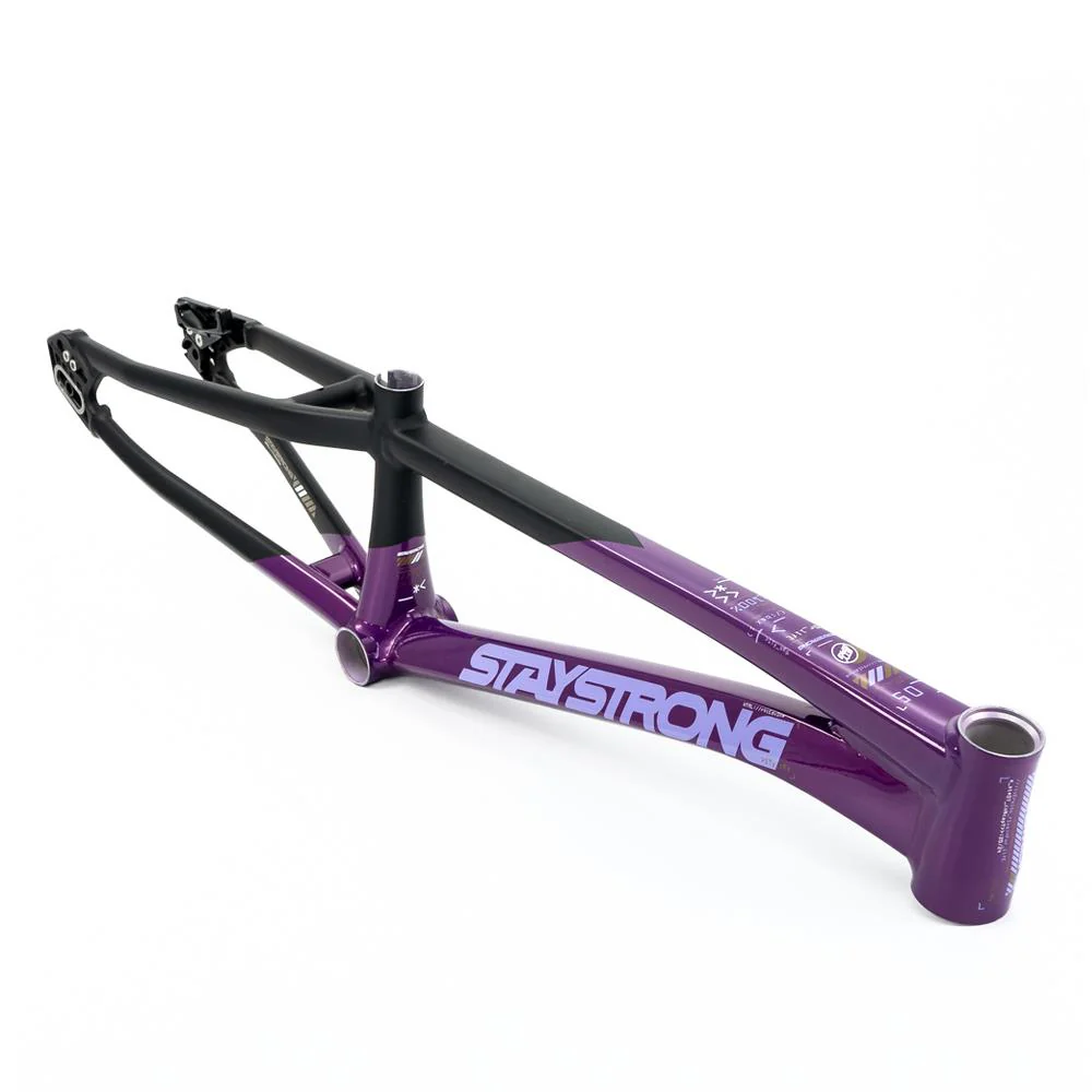 Stay Strong For Life V5 Cruiser XXL Frame 2025 - Image 13