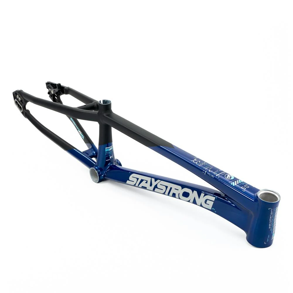 Stay Strong For Life V5 Cruiser XXL Frame 2025 - Image 14