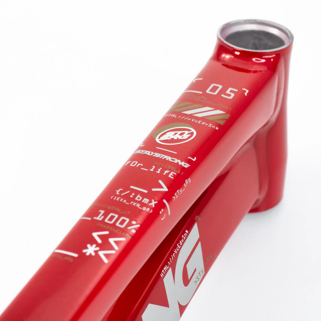 Stay Strong For Life V5 Cruiser XXL Frame 2025 - Image 3