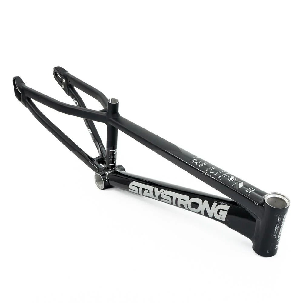 Stay Strong For Life V5 Expert XL Frame 2025 - Image 14