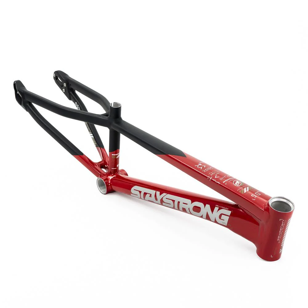 Stay Strong For Life V5 Expert XL Frame 2025 - Image 15