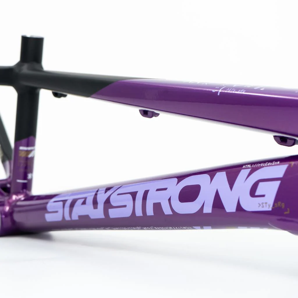 Stay Strong For Life V5 Expert XL Frame 2025 - Image 4
