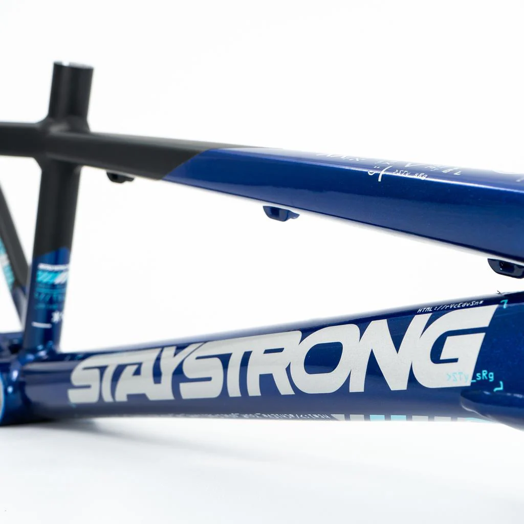 Stay Strong For Life V5 Expert XL Frame 2025 - Image 7