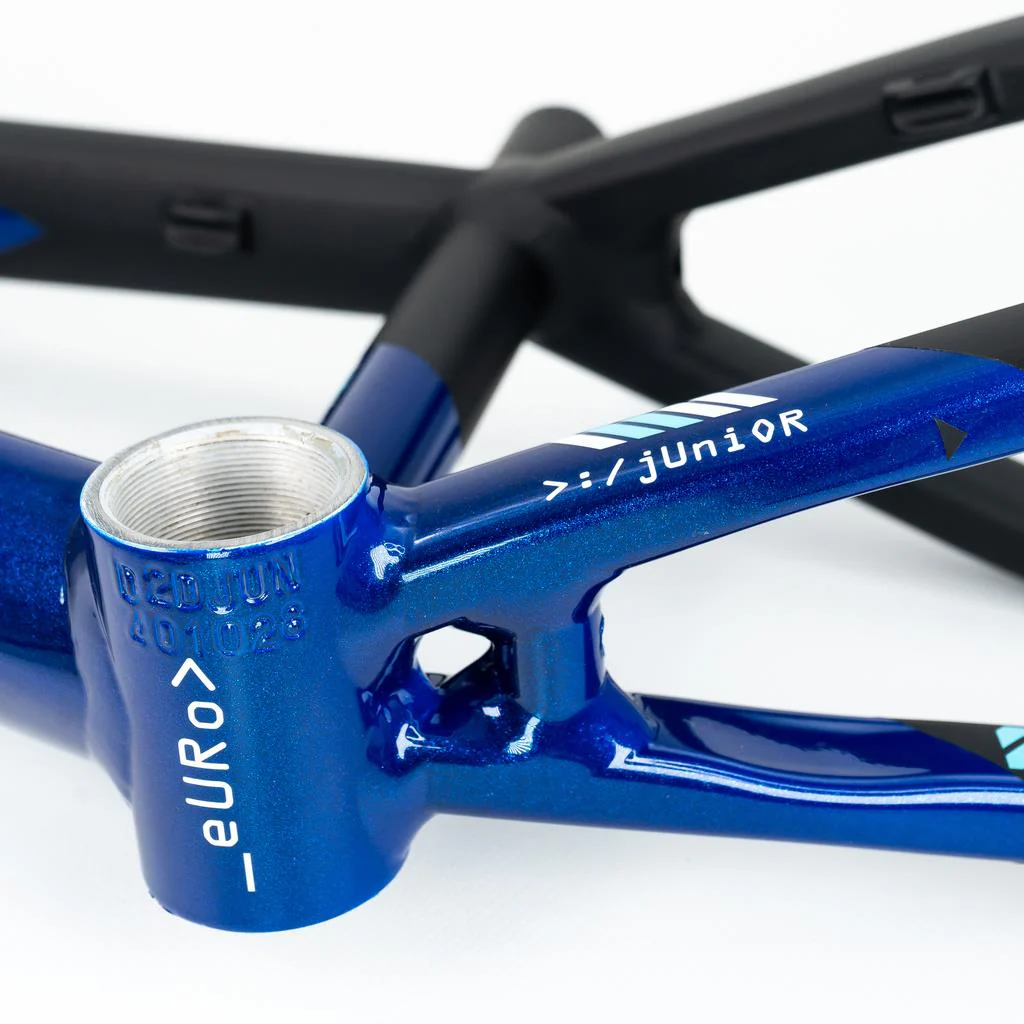 Stay Strong For Life V5 Expert XL Frame 2025 - Image 9