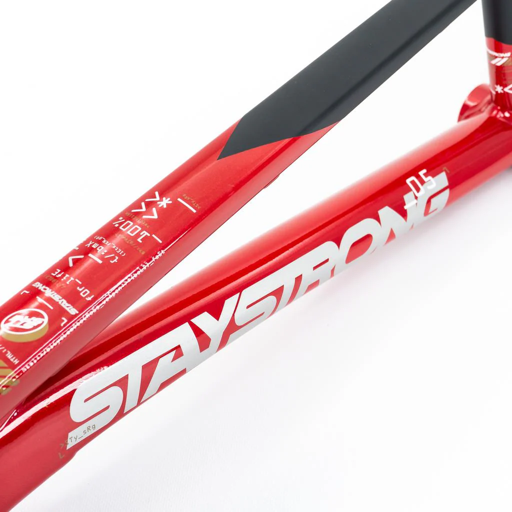 Stay Strong For Life V5 Mini Frame 2025 - Image 11