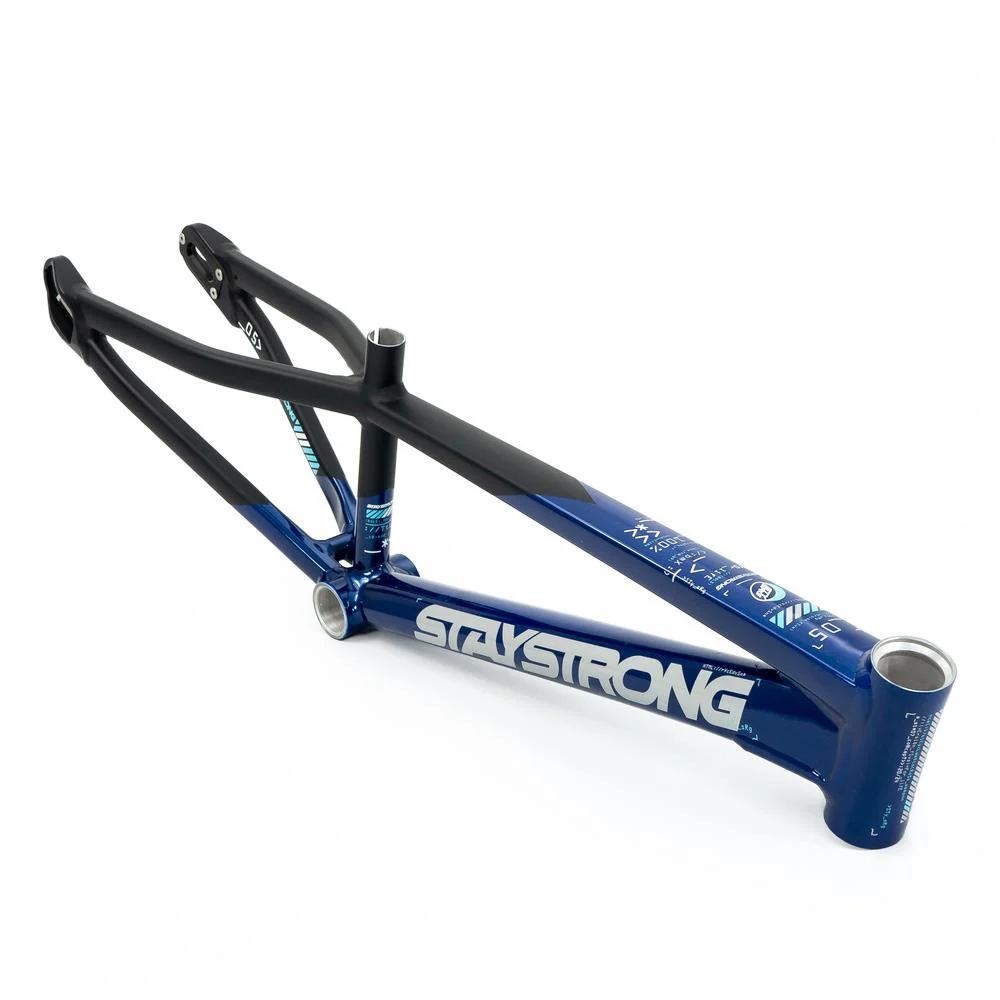 Stay Strong For Life V5 Mini Frame 2025 - Image 12