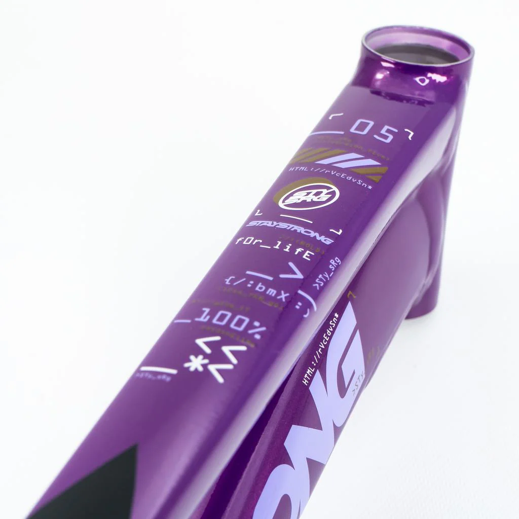 Stay Strong For Life V5 Mini Frame 2025 - Image 3