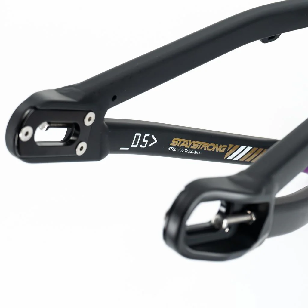 Stay Strong For Life V5 Mini Frame 2025 - Image 4