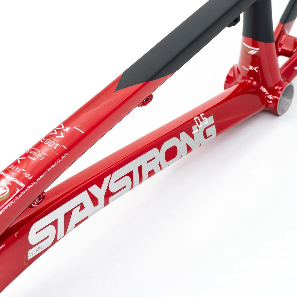 Stay Strong For Life V5 Pro Frame 2025 - Image 10