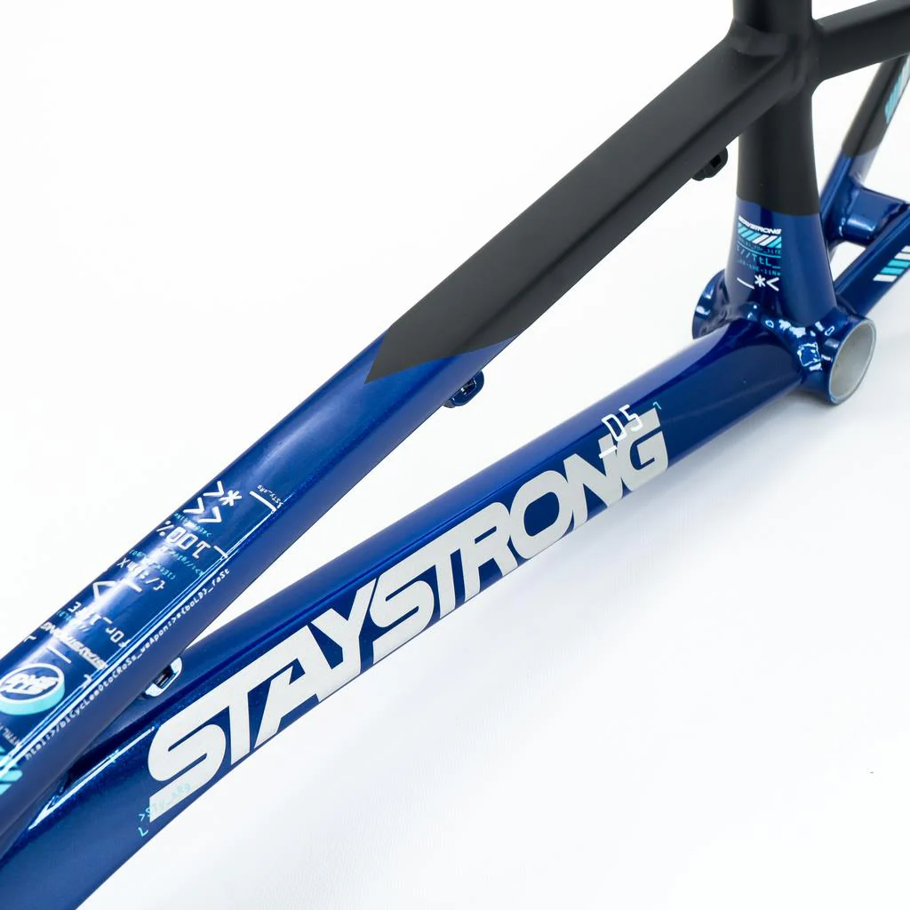 Stay Strong For Life V5 Pro Frame 2025 - Image 3