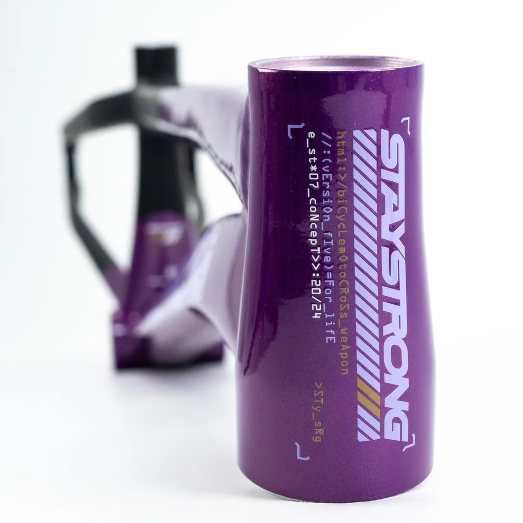 Stay Strong For Life V5 Pro Frame 2025 - Image 7